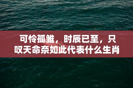 可怜孤雏，时辰已至，只叹天命奈如此代表什么生肖打一最佳数字生肖，成语释义解释落实插图