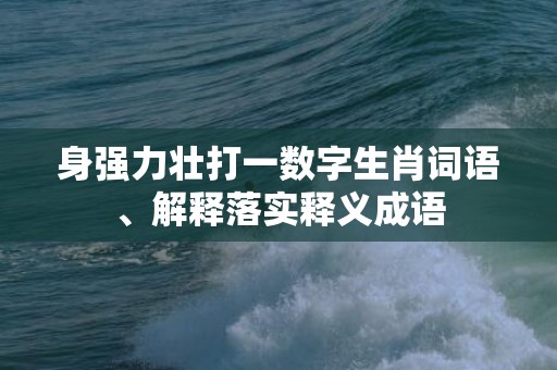 身强力壮打一数字生肖词语、解释落实释义成语插图