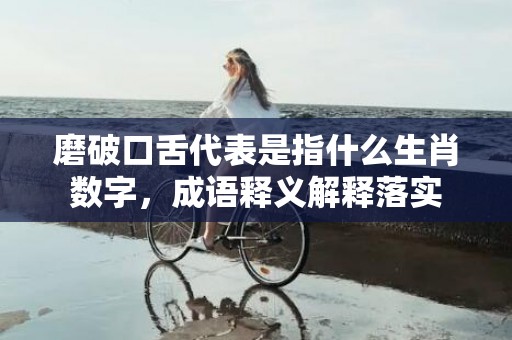 磨破口舌代表是指什么生肖数字，成语释义解释落实插图