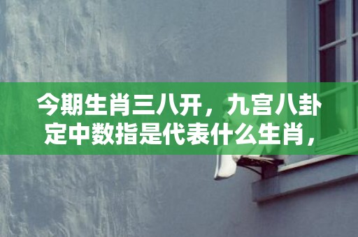 今期生肖三八开，九宫八卦定中数指是代表什么生肖，成语释义解释落实插图