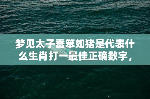 梦见太子蠢笨如猪是代表什么生肖打一最佳正确数字，成语释义解释落实插图