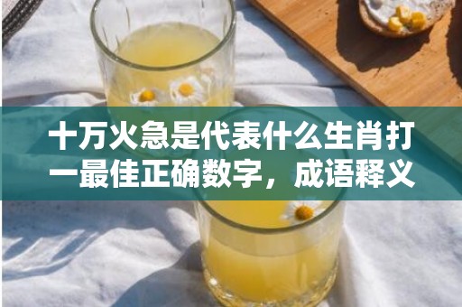 十万火急是代表什么生肖打一最佳正确数字，成语释义解释落实插图