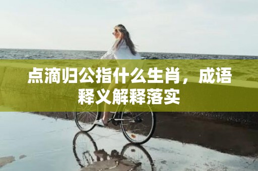 点滴归公指什么生肖，成语释义解释落实插图