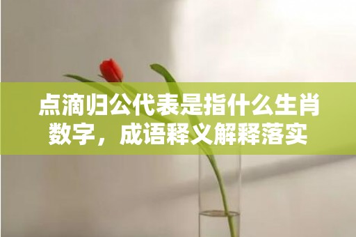 点滴归公代表是指什么生肖数字，成语释义解释落实插图