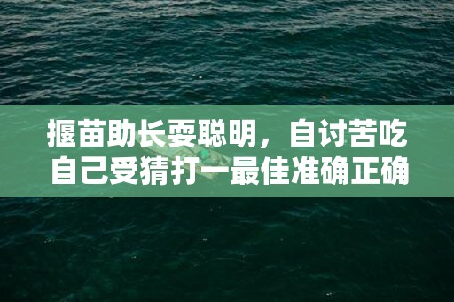 揠苗助长耍聪明，自讨苦吃自己受猜打一最佳准确正确生肖数字，解析成语释义落实