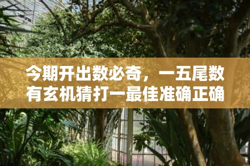 今期开出数必奇，一五尾数有玄机猜打一最佳准确正确生肖数字，解答成语落实释义插图