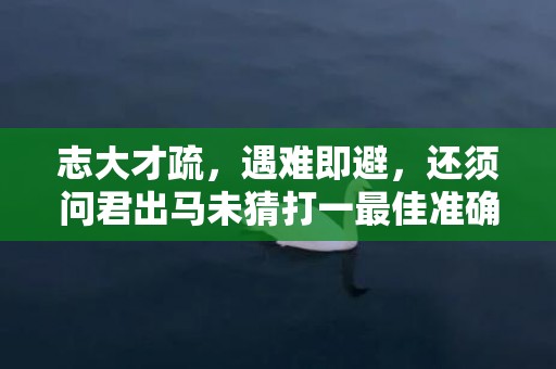 志大才疏，遇难即避，还须问君出马未猜打一最佳准确正确生肖数字，解析成语释义落实插图