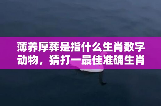 薄养厚葬是指什么生肖数字动物，猜打一最佳准确生肖数字经典词意解答插图