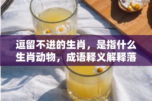 逗留不进的生肖，是指什么生肖动物，成语释义解释落实插图