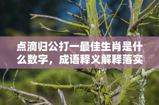 点滴归公打一最佳生肖是什么数字，成语释义解释落实插图