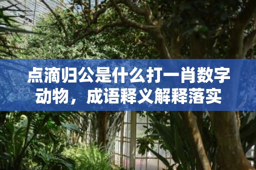 点滴归公是什么打一肖数字动物，成语释义解释落实插图