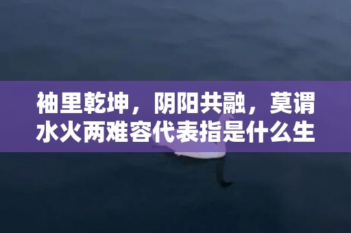 袖里乾坤，阴阳共融，莫谓水火两难容代表指是什么生肖猜打一正确数字，成语释义解释落实插图