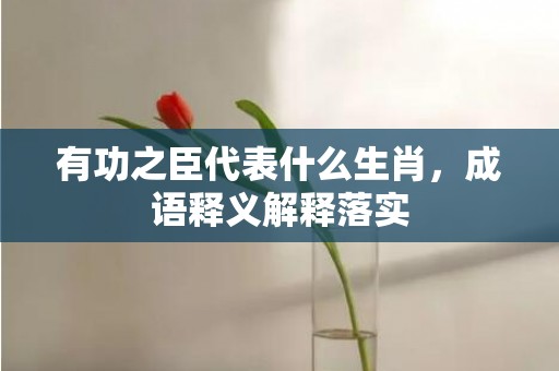 有功之臣代表什么生肖，成语释义解释落实