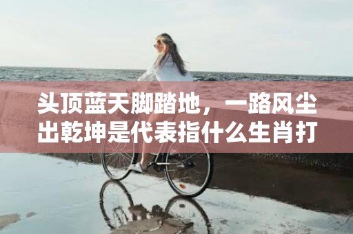 头顶蓝天脚踏地，一路风尘出乾坤是代表指什么生肖打一最佳准确生肖数字，成语释义解释落实