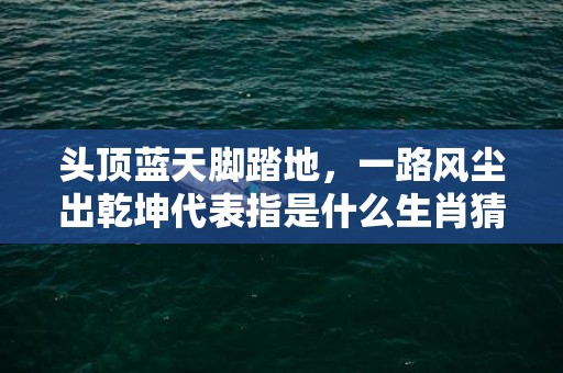 头顶蓝天脚踏地，一路风尘出乾坤代表指是什么生肖猜打一正确数字，成语落实分析解答插图