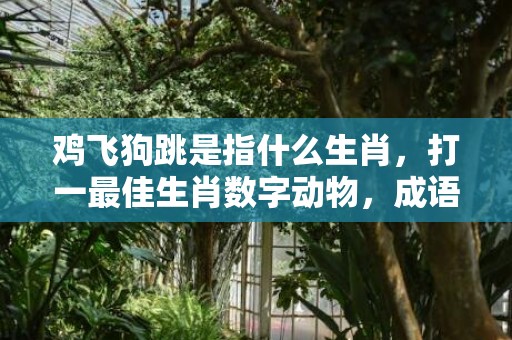 鸡飞狗跳是指什么生肖，打一最佳生肖数字动物，成语释义解释落实插图