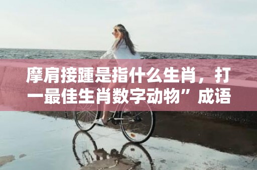 摩肩接踵是指什么生肖，打一最佳生肖数字动物”成语释义解释落实“插图