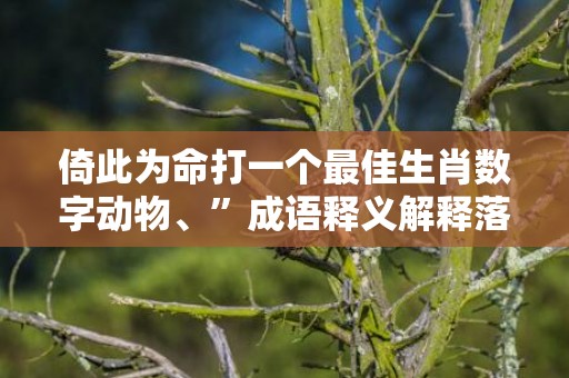 倚此为命打一个最佳生肖数字动物、”成语释义解释落实“