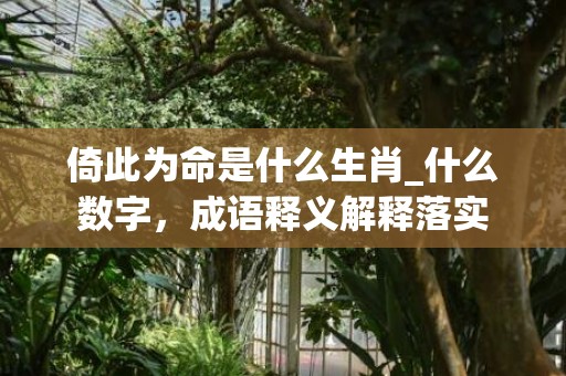 倚此为命是什么生肖_什么数字，成语释义解释落实