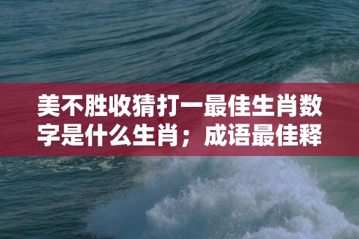 美不胜收猜打一最佳生肖数字是什么生肖；成语最佳释义解释答案