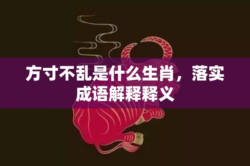 方寸不乱是什么生肖，落实成语解释释义