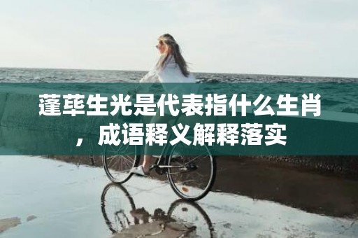 蓬荜生光是代表指什么生肖，成语释义解释落实