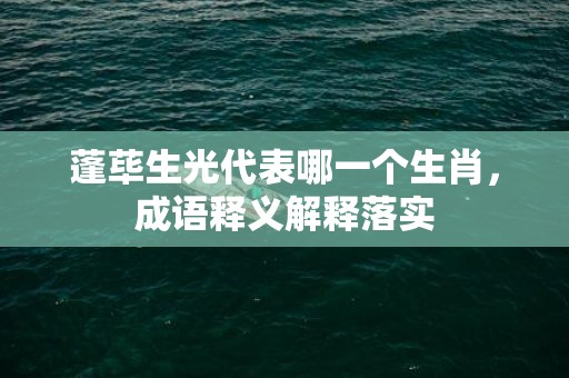 蓬荜生光代表哪一个生肖，成语释义解释落实