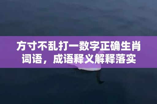 方寸不乱打一数字正确生肖词语，成语释义解释落实