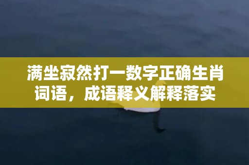 满坐寂然打一数字正确生肖词语，成语释义解释落实