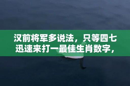 汉前将军多说法，只等四七迅速来打一最佳生肖数字，成语最佳释义解释答