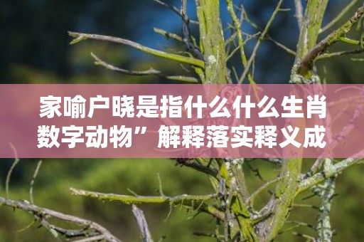 家喻户晓是指什么什么生肖数字动物”解释落实释义成语“