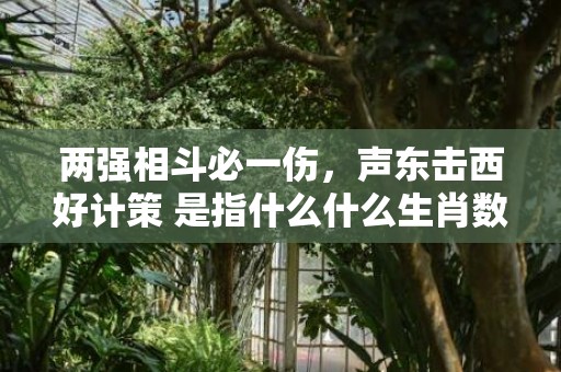 两强相斗必一伤，声东击西好计策 是指什么什么生肖数字动物”解释落实释义成语“