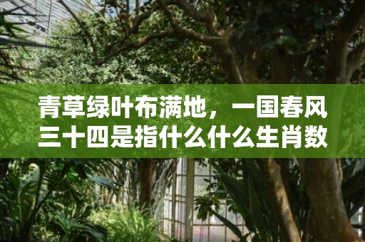 青草绿叶布满地，一国春风三十四是指什么什么生肖数字动物”解释落实释义成语“