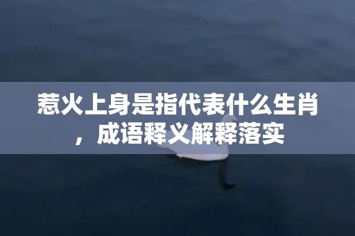 惹火上身是指代表什么生肖，成语释义解释落实插图