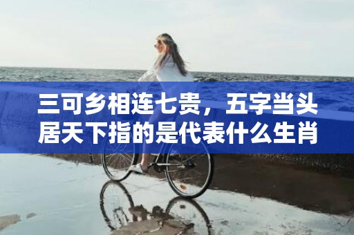 三可乡相连七贵，五字当头居天下指的是代表什么生肖动物，成语释义解释落实插图