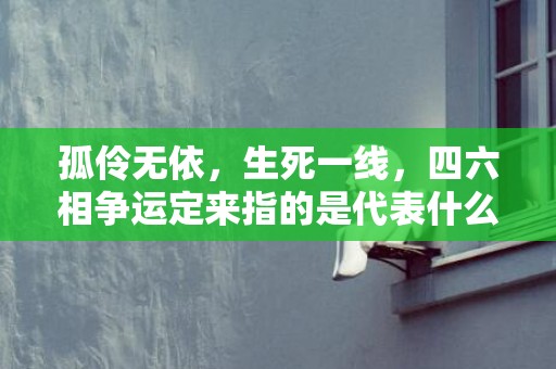 孤伶无依，生死一线，四六相争运定来指的是代表什么生肖动物，成语释义解释落实插图