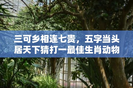 三可乡相连七贵，五字当头居天下猜打一最佳生肖动物数字、成语最佳释义解释答插图