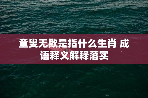 童叟无欺是指什么生肖 成语释义解释落实插图