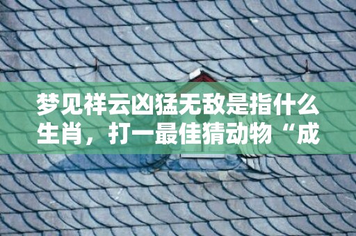 梦见祥云凶猛无敌是指什么生肖，打一最佳猜动物“成语最佳释义解释答”插图