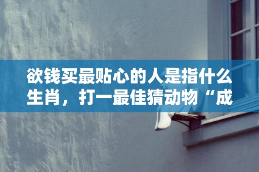 欲钱买最贴心的人是指什么生肖，打一最佳猜动物“成语最佳释义解释答”