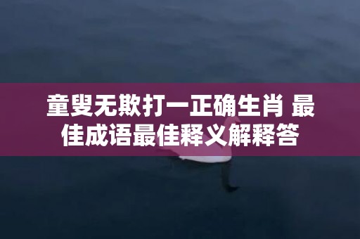 童叟无欺打一正确生肖 最佳成语最佳释义解释答插图