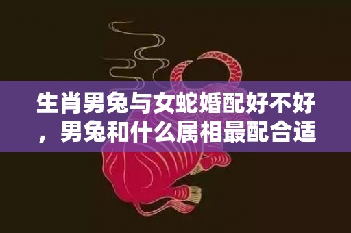 生肖男兔与女蛇婚配好不好，男兔和什么属相最配合适