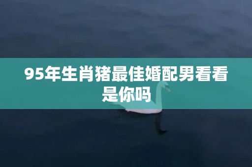 95年生肖猪最佳婚配男看看是你吗