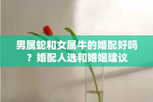 男属蛇和女属牛的婚配好吗？婚配人选和婚姻建议