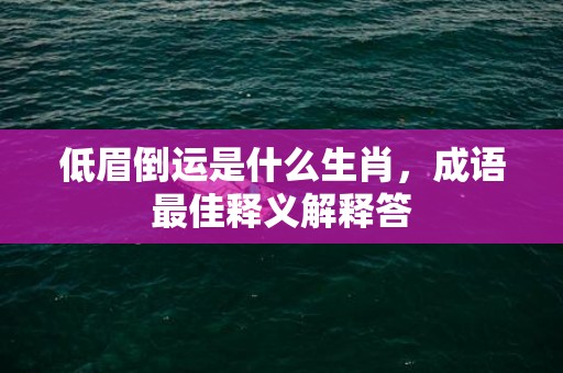 低眉倒运是什么生肖，成语最佳释义解释答插图