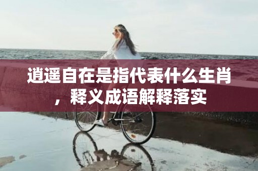 逍遥自在是指代表什么生肖，释义成语解释落实插图