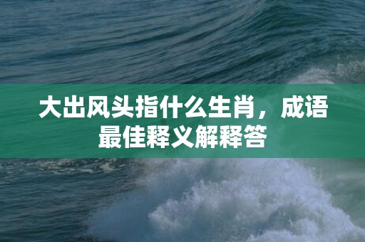 大出风头指什么生肖，成语最佳释义解释答插图