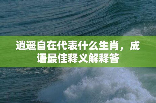 逍遥自在代表什么生肖，成语最佳释义解释答插图