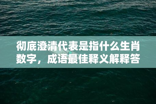 彻底澄清代表是指什么生肖数字，成语最佳释义解释答