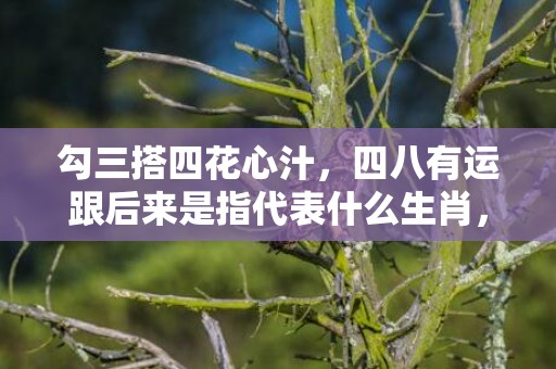 勾三搭四花心汁，四八有运跟后来是指代表什么生肖，释义成语解释落实插图